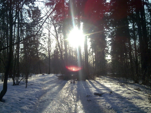 Зимой в парке Виноградово не разбежишься